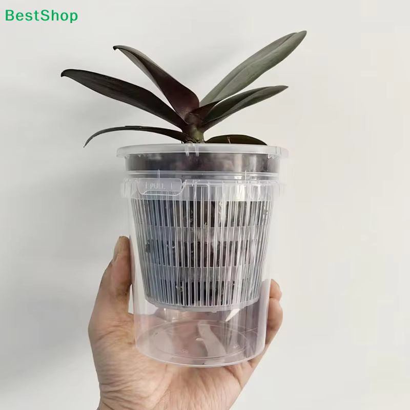 ☽ Pot à orchidées transparent avec drainage