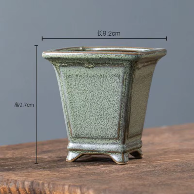 Pot de plantes succulentes émaillées en poterie grossière
