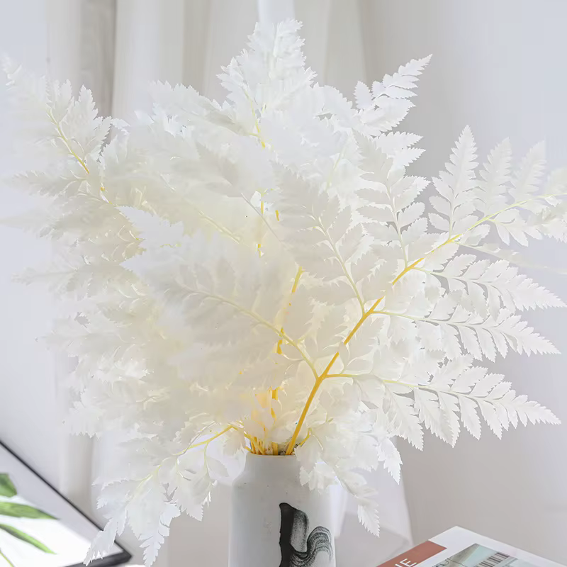 Fleurs de fougère naturelle pour la décoration intérieure