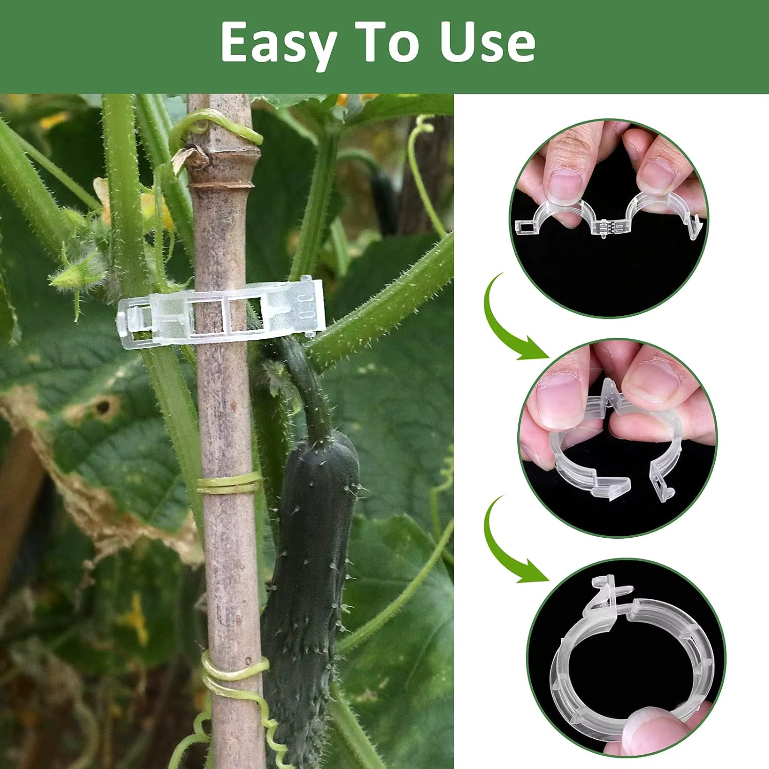 Clips pour plantes grimpantes