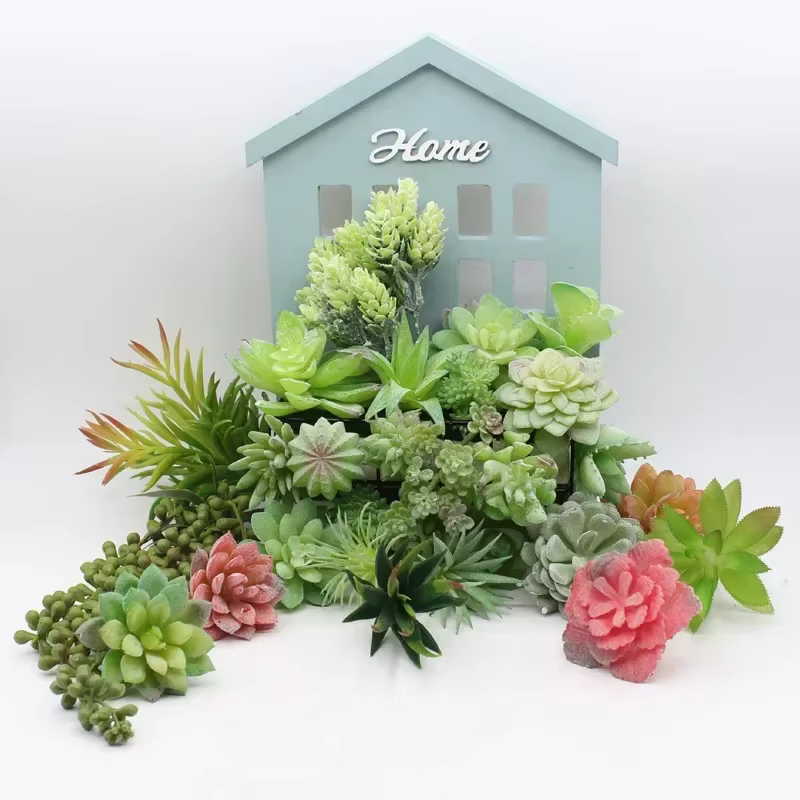 Plantes succulentes en PVC