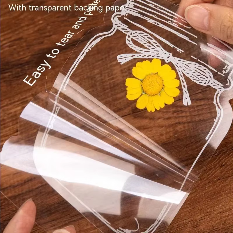Signets de fleurs séchées transparentes pour étudiants