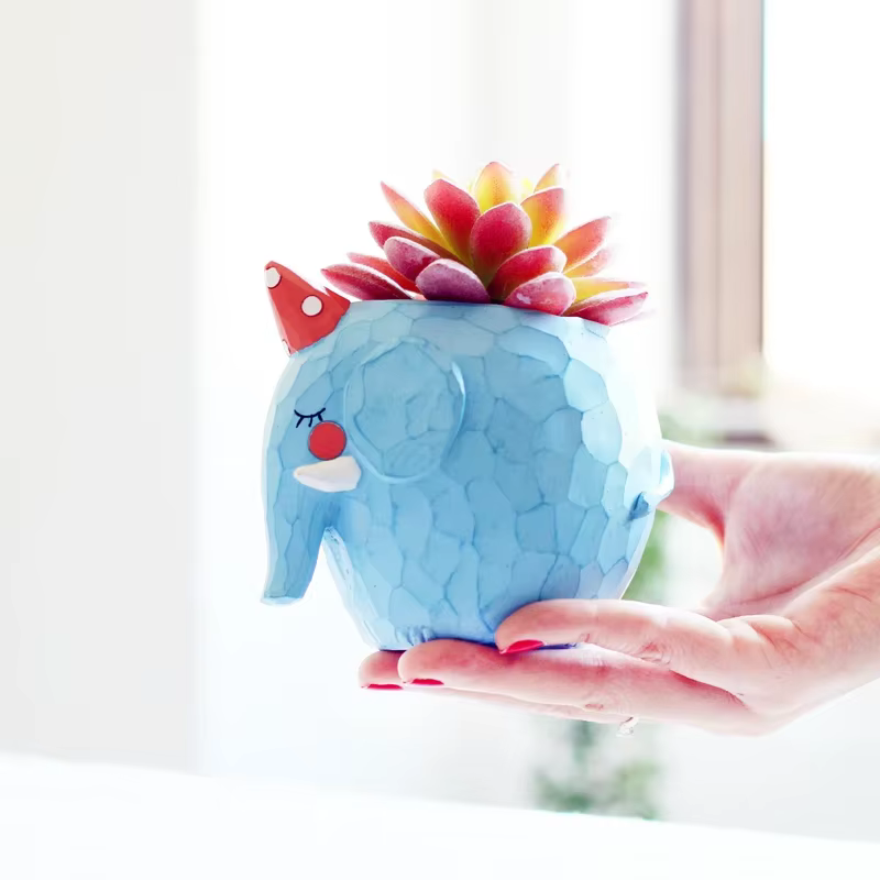 Pots de fleurs d'animaux mignons pour plantes succulentes