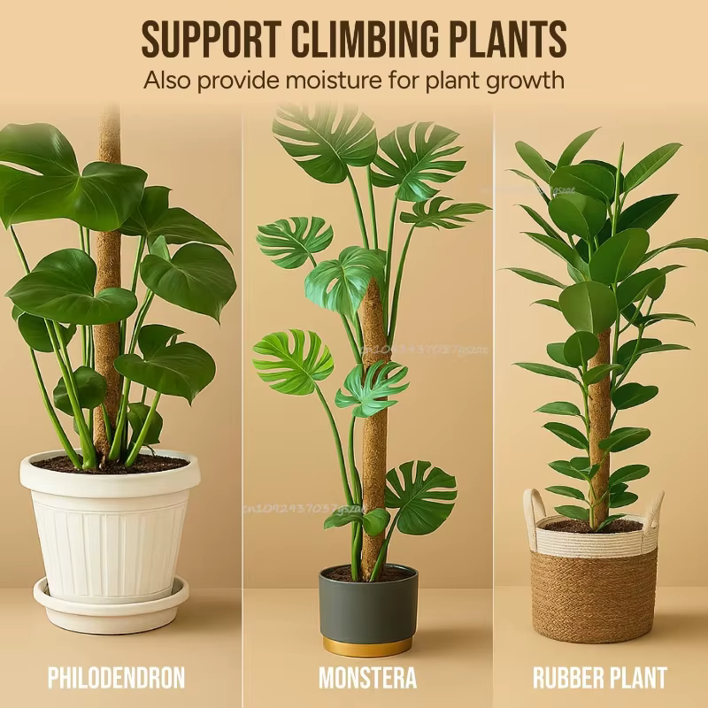 Poteau de mousse pliable pour plantes, Fiber de palmier de noix de coco, Support de plantes Monstera, fait à la main, escalade de Coco, accessoires de jardin DIY