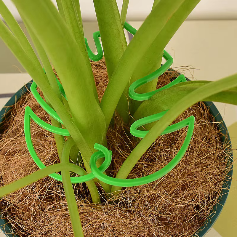 Monstera Support pour plantes