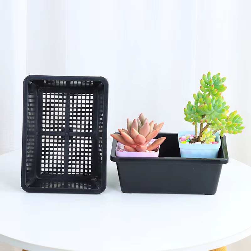 5/1 Pièces Plateau de culture pour plantes