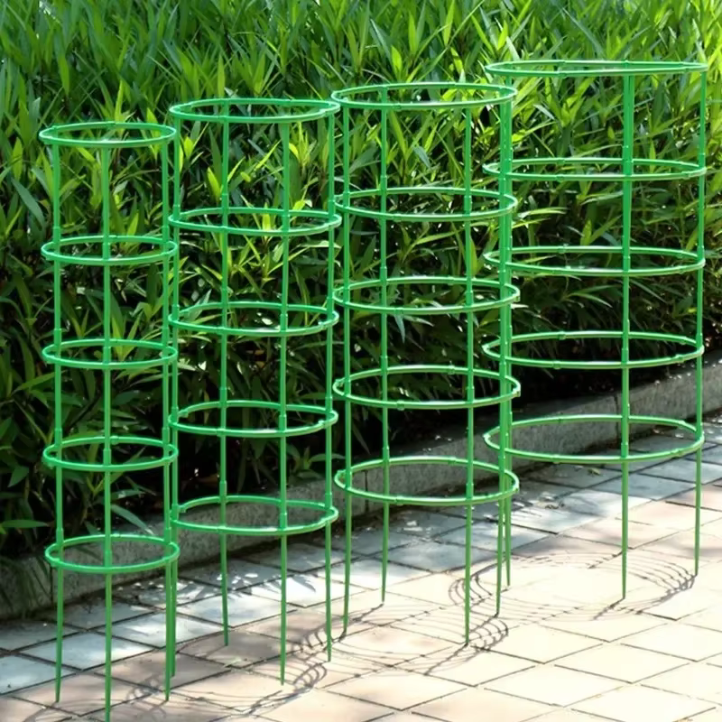 Support d'escalade pour plantes à fleurs