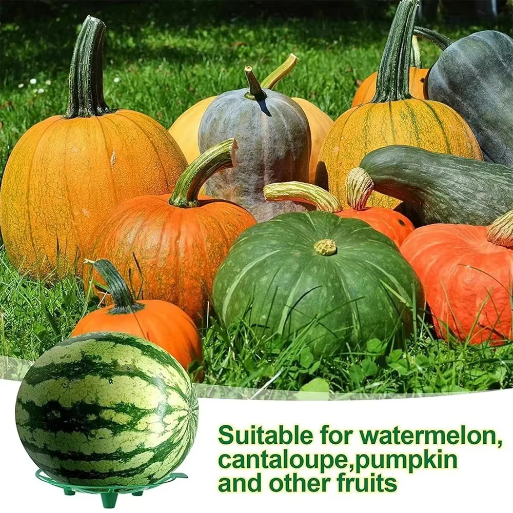 Lot de 5 supports pour melons