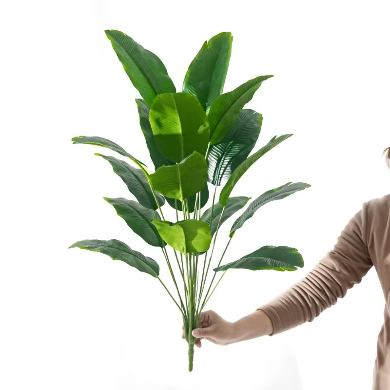 Plantes artificielles sans bassin