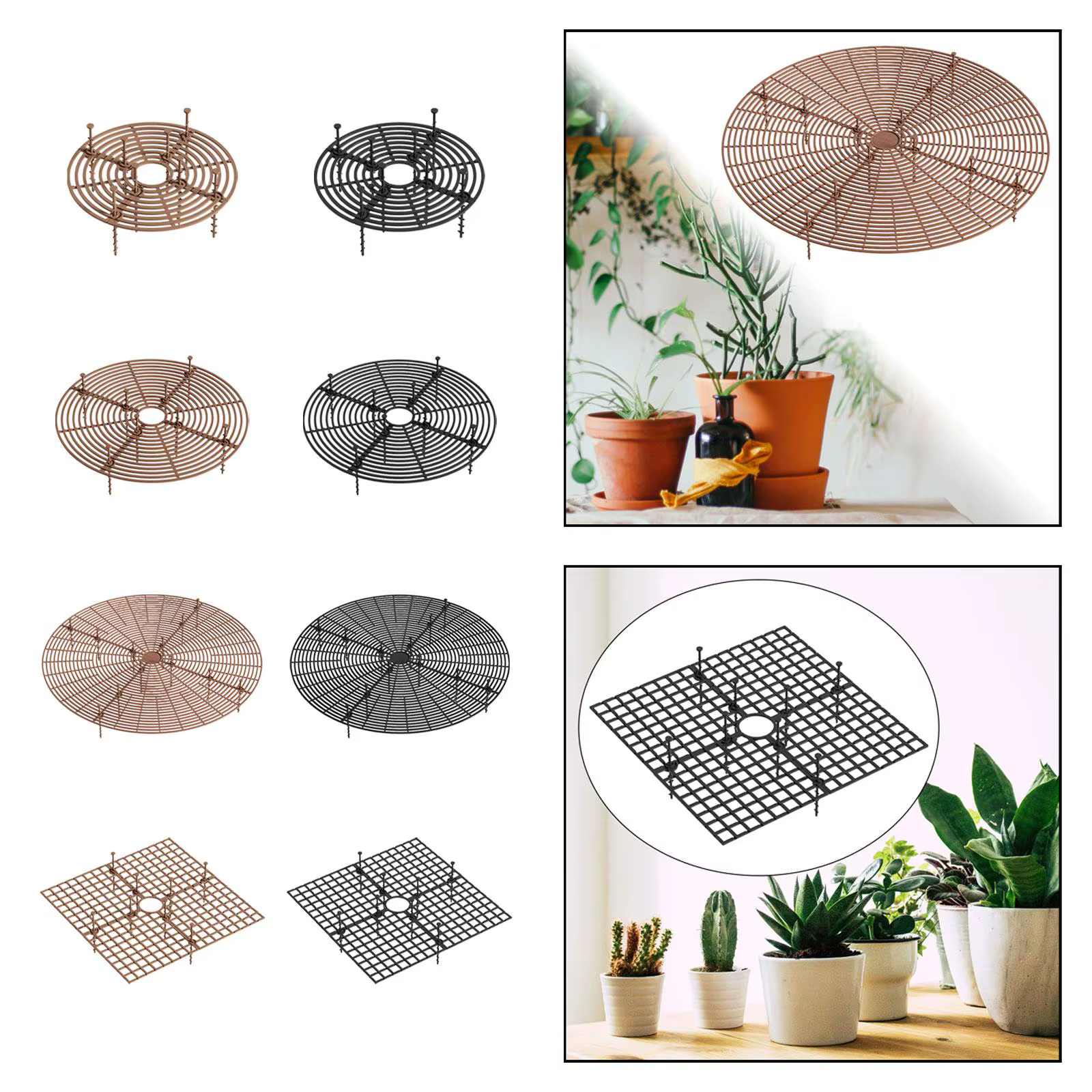 Protecteur de sol pour plantes