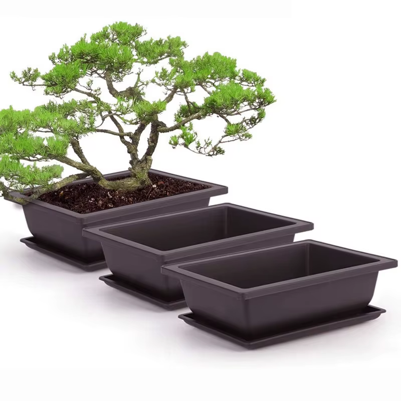 Pot de fleurs de bonsaï en plastique