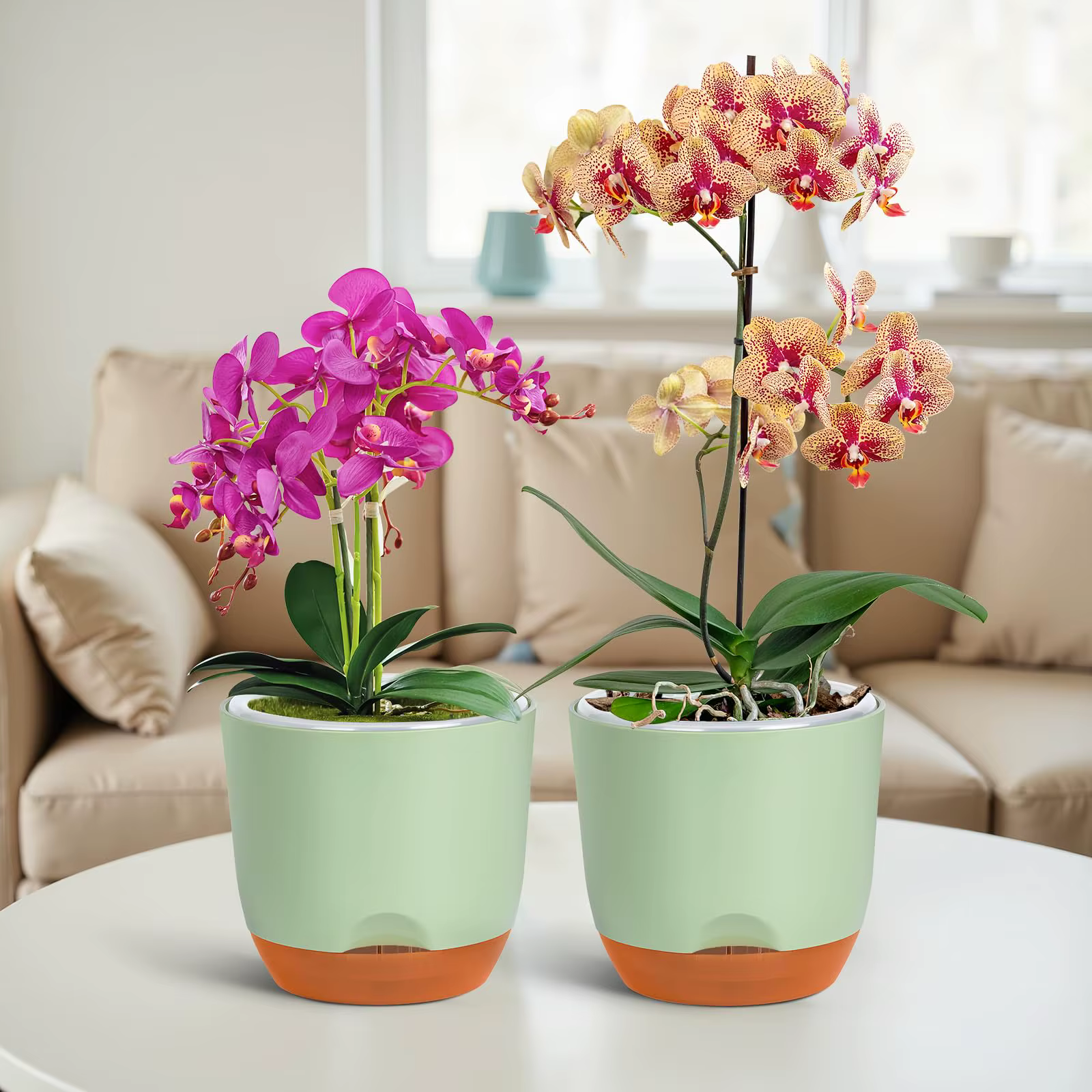 Pots à orchidées avec trous