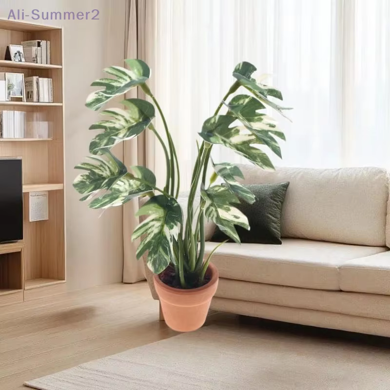 Plante Monstera Miniature délicate pour maison de poupée 1/12