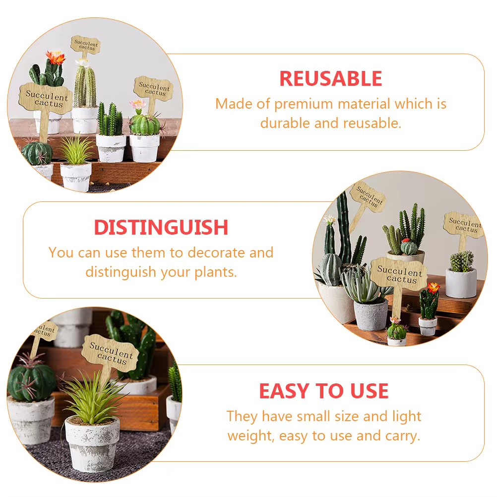 Étiquettes de plantes en bois