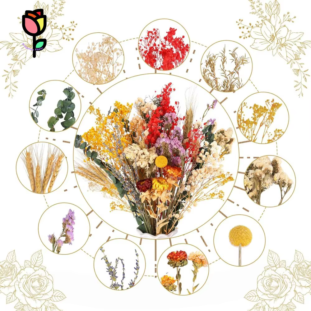Bouquet de fleurs séchées naturelles 42 cm