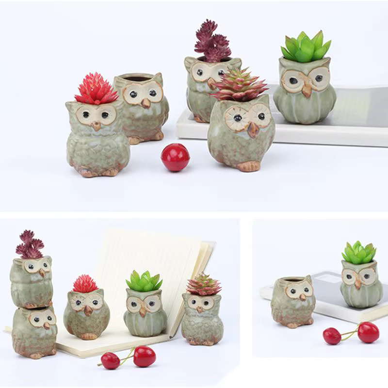 Pot de jardinière succulente mignon