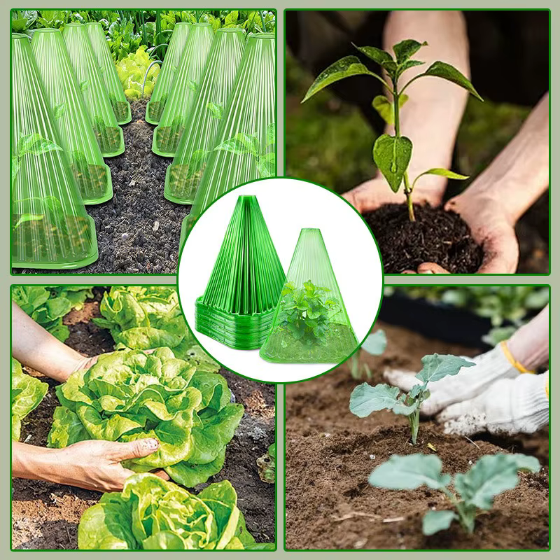 Couvercles de cloche de plantes en plastique Transparent