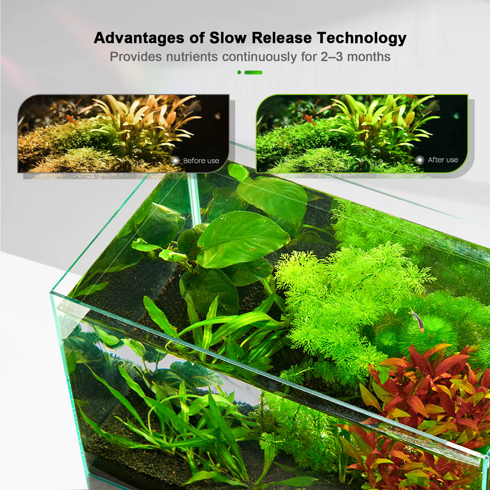 FZONE Engrais pour plantes aquatiques en comprimés