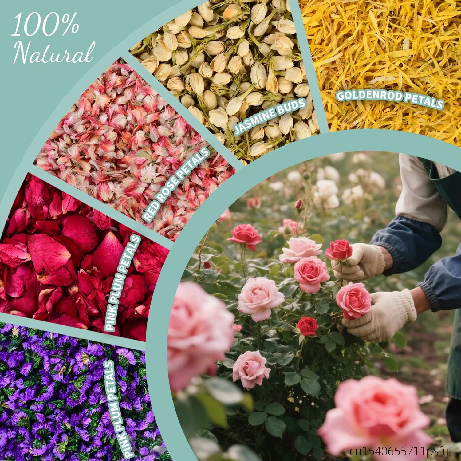 34 choix gratuits! Fleurs séchées biologiques