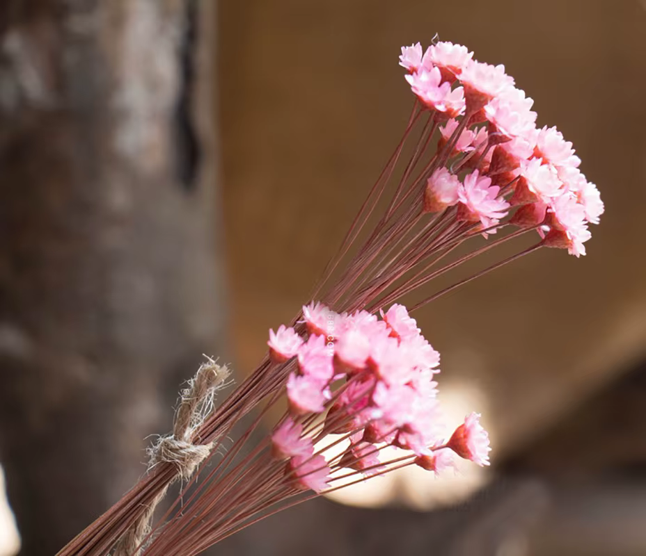 Mini bouquet de fleurs séchées artificielles