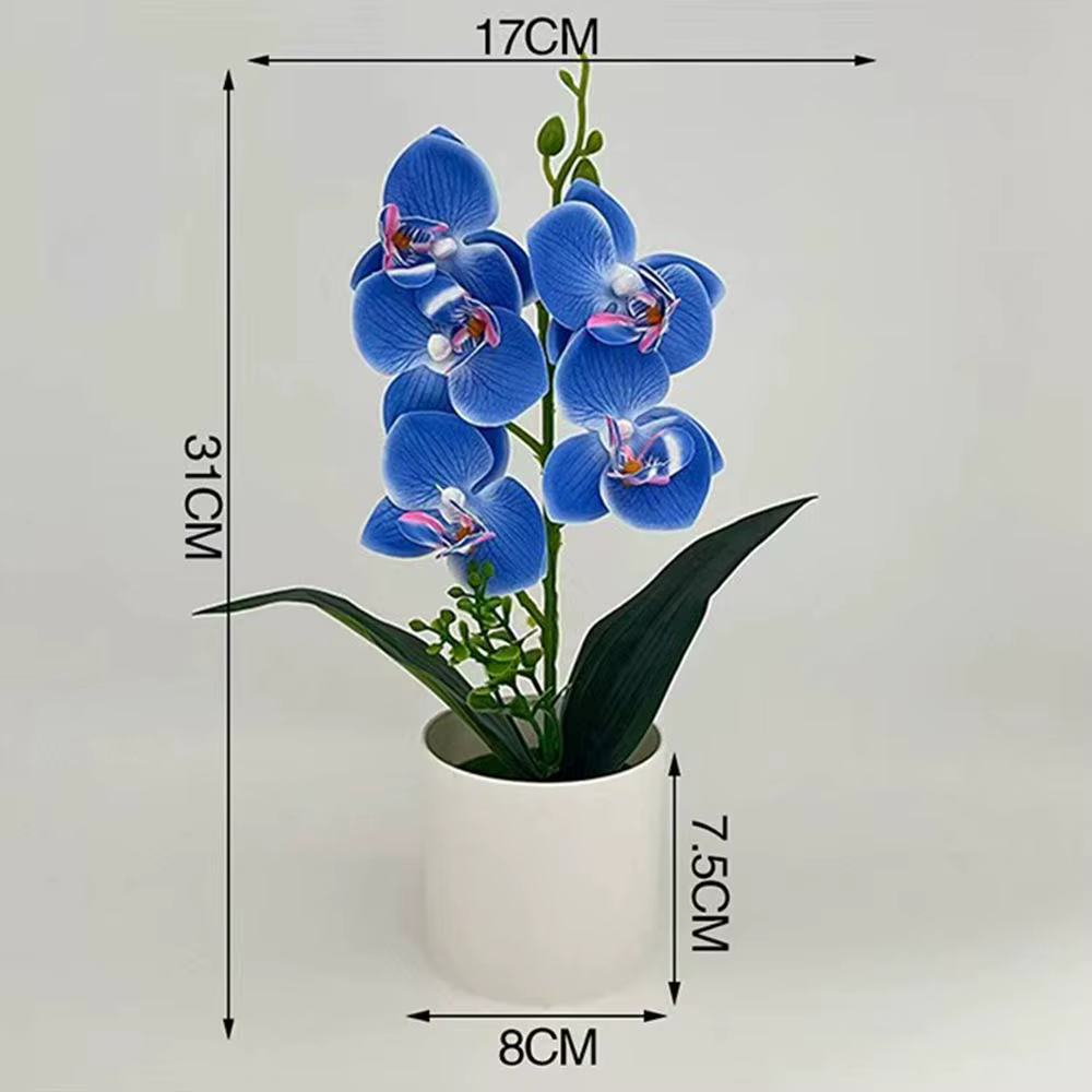 Simulation de 5 fleurs