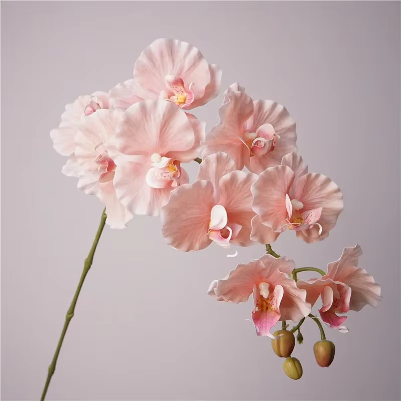 Fleurs artificielles en film latex phalaenopsis