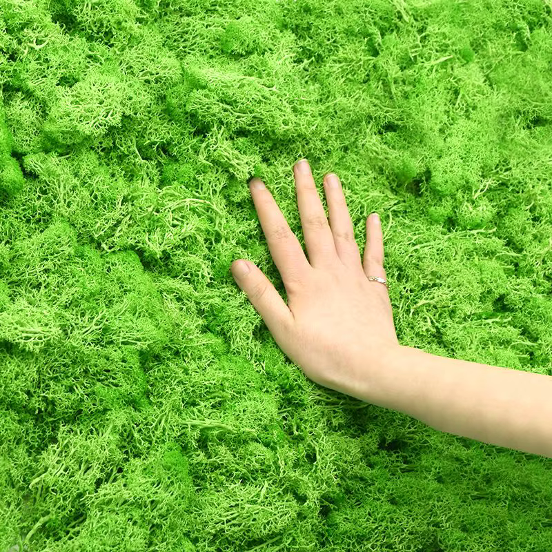 Nouvelles plantes vertes artificielles vie éternelle mousse herbe bricolage