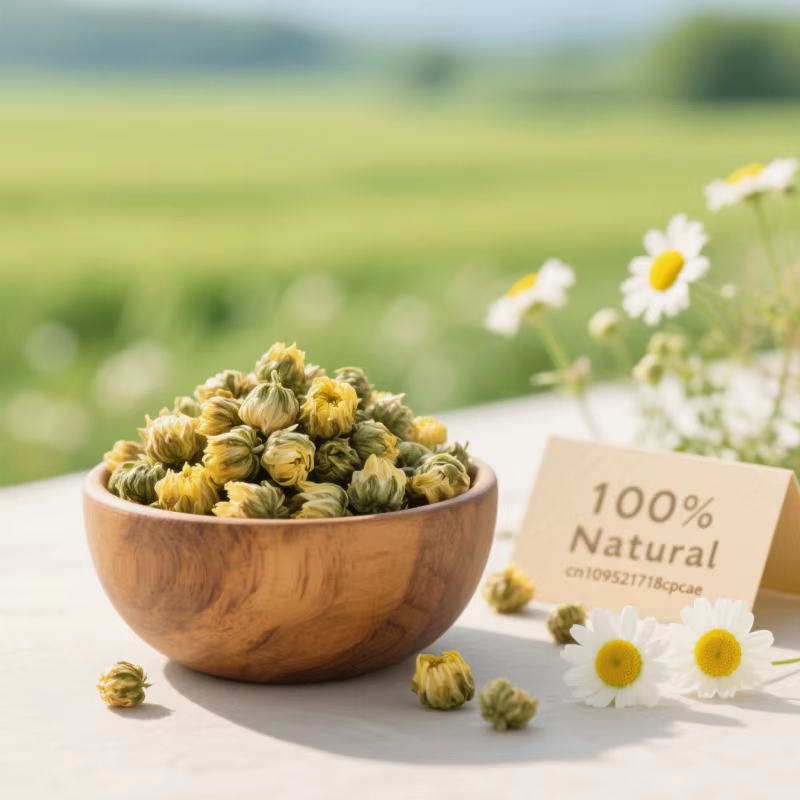 Boutons de chrysanthème naturels de qualité supérieure