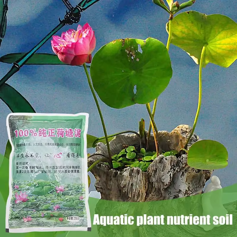200g naturel Lotus étang boue jardin furtile aquatique bonsaï fleur sol nutritif pour bol spécial