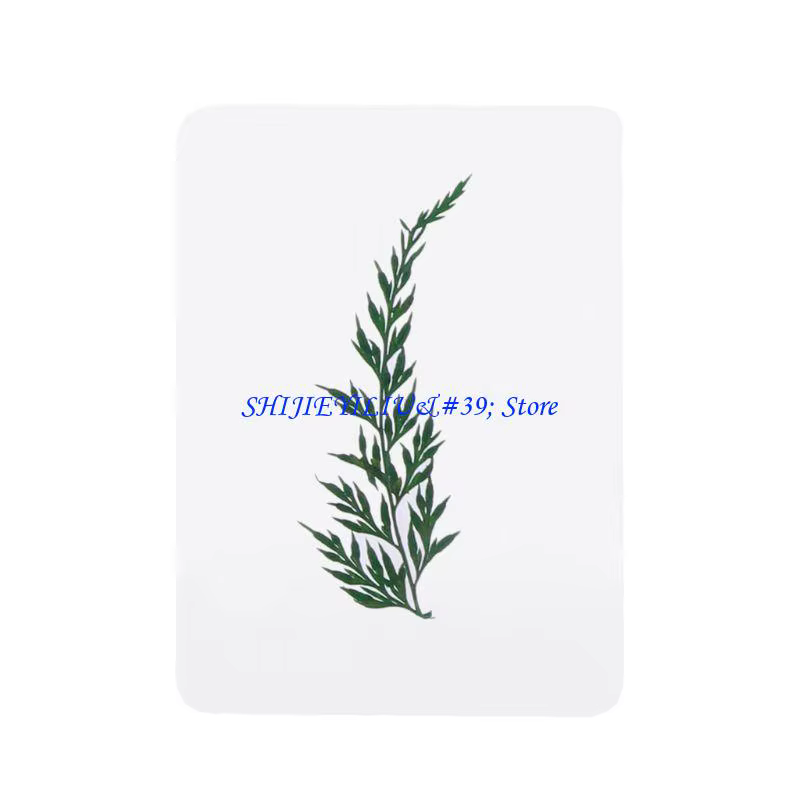 Mélange feuilles fleurs pressées E21F