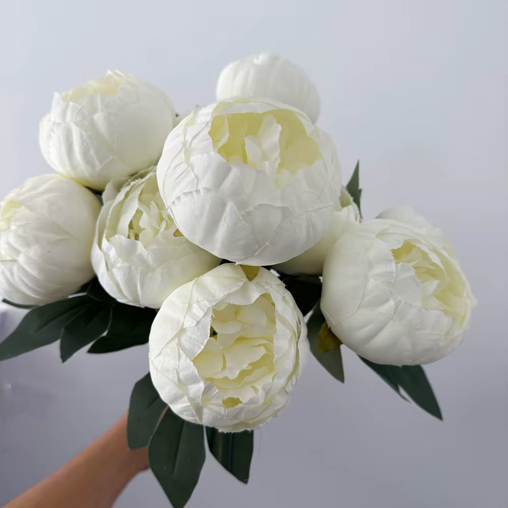 Pivoine blanche avec boutons de fleurs
