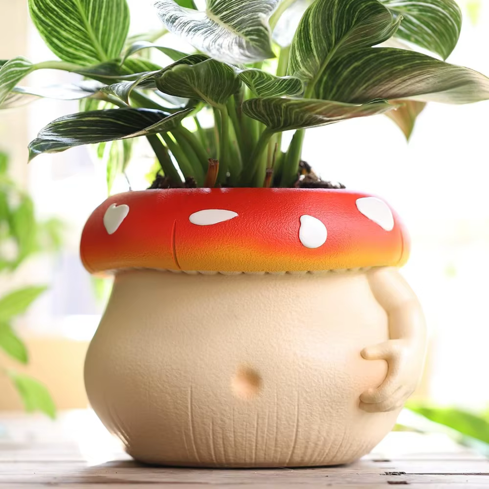 Petit pot de plante décoratif en céramique pour plantes d'intérieur et d'extérieur
