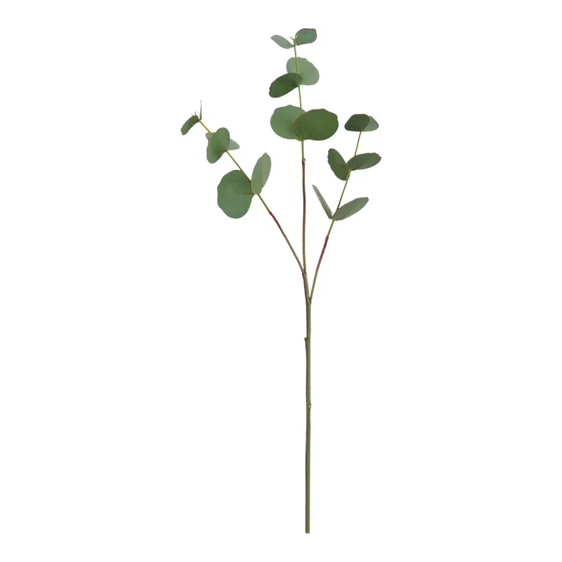 Feuilles d'eucalyptus artificielles pour la décoration de la maison