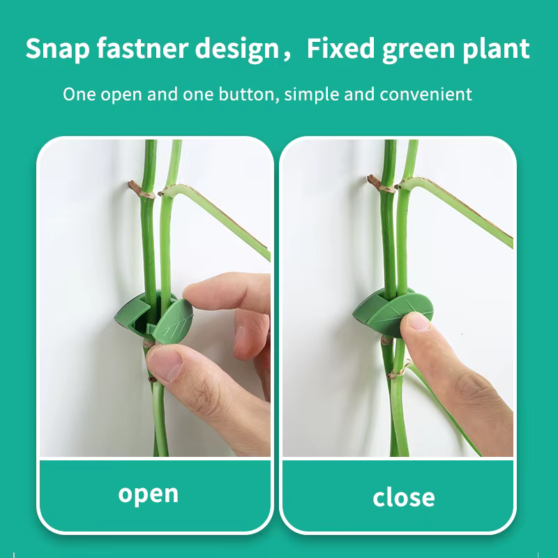 Fixation murale Invisible pour plantes grimpantes