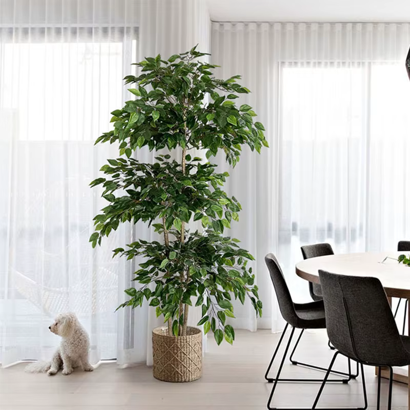 Grand Arbre Artificiel Ficus de 70 Pouces