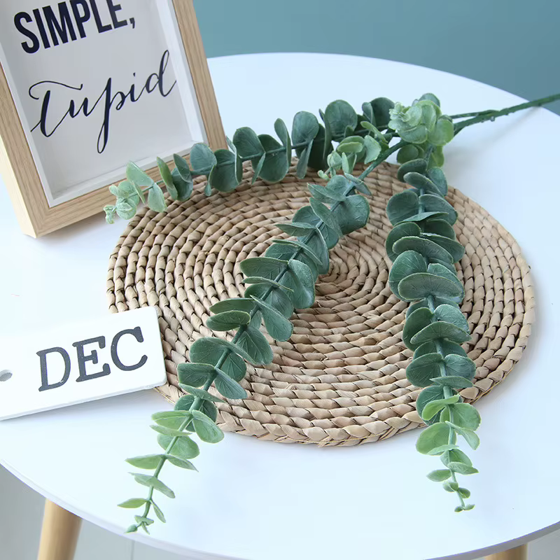 Simulation d'aloès vert
