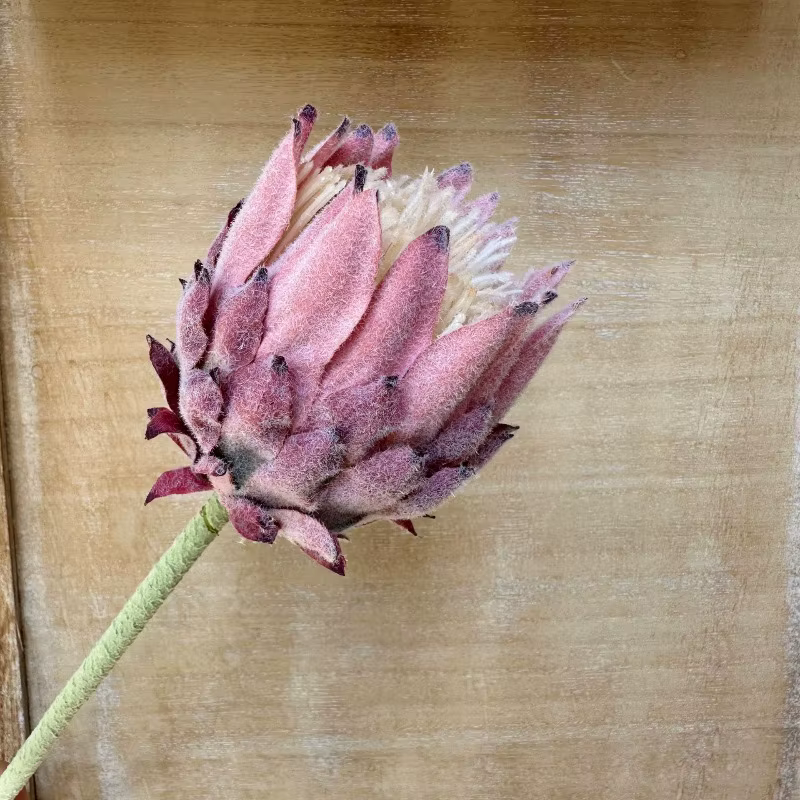 Fleurs artificielles King Protea réalistes