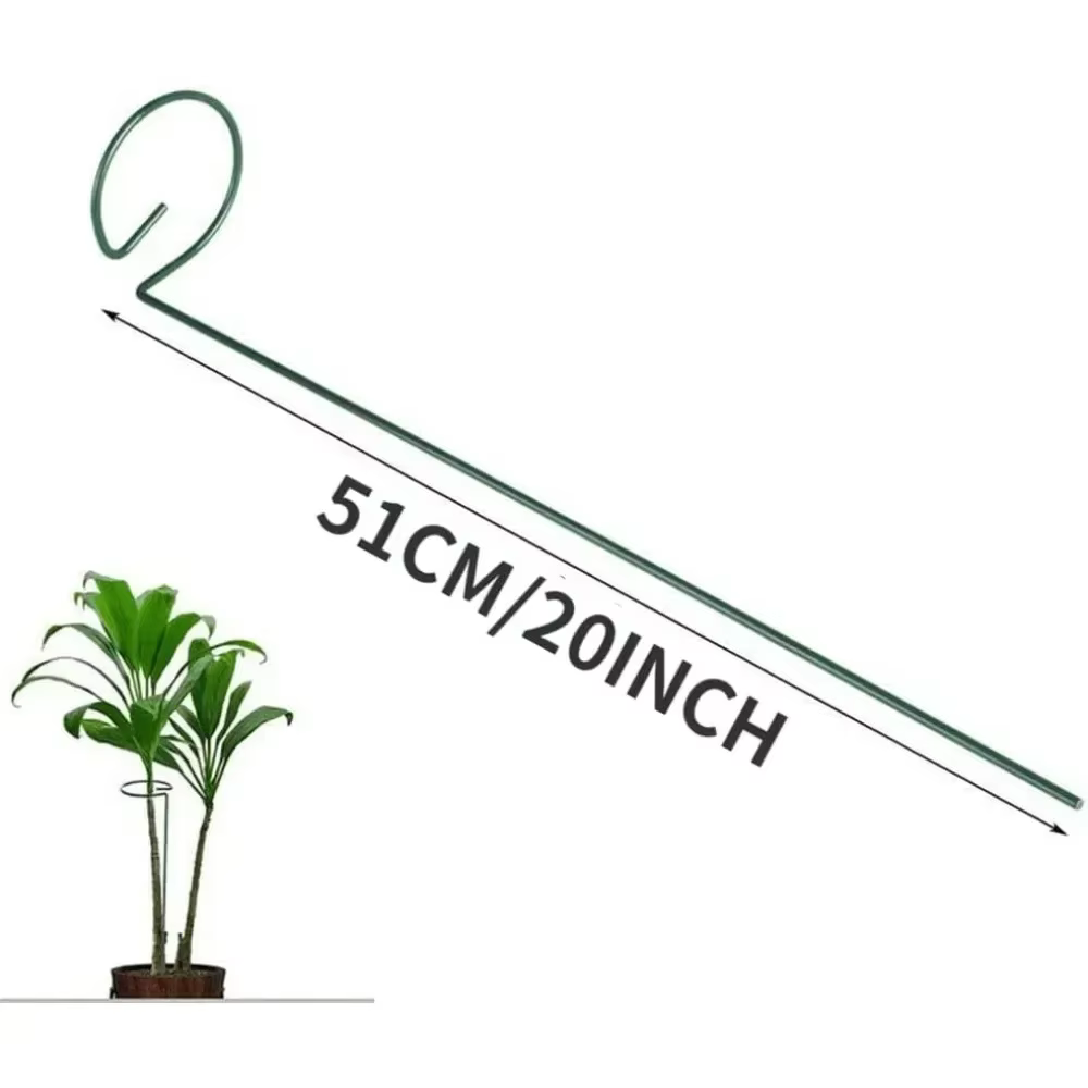 2 treillis pour plantes grimpantes extérieures