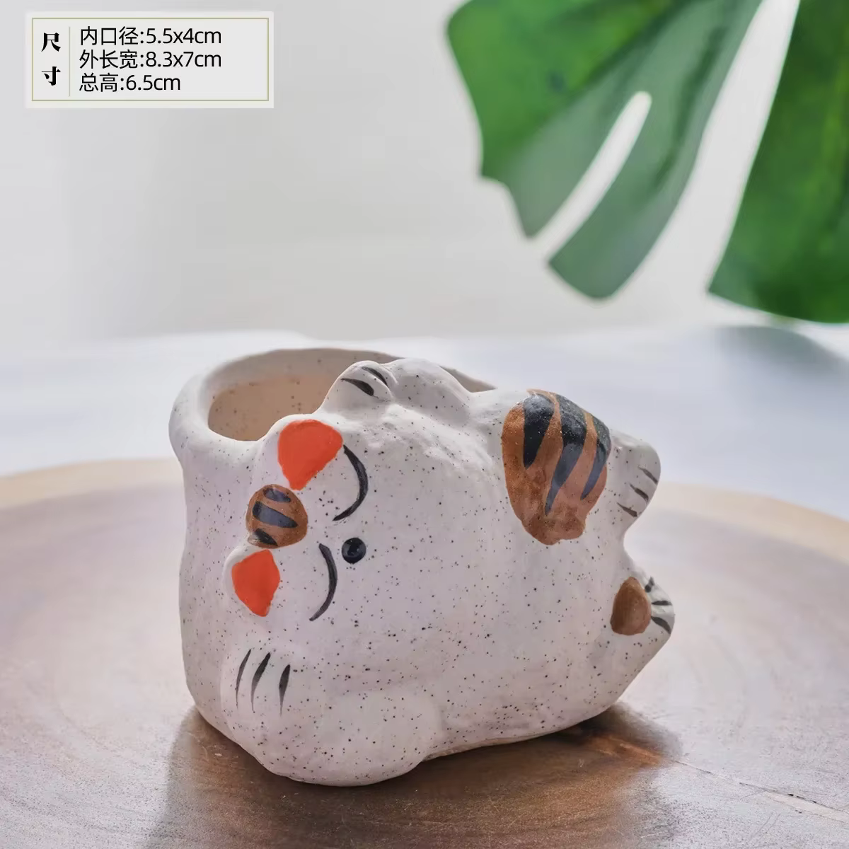 Pot de fleur succulent en céramique Fortune Cat
