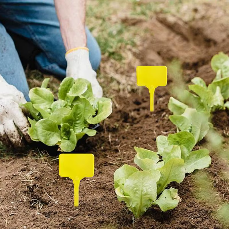 Étiquettes pour plantes de jardin 100 pièces