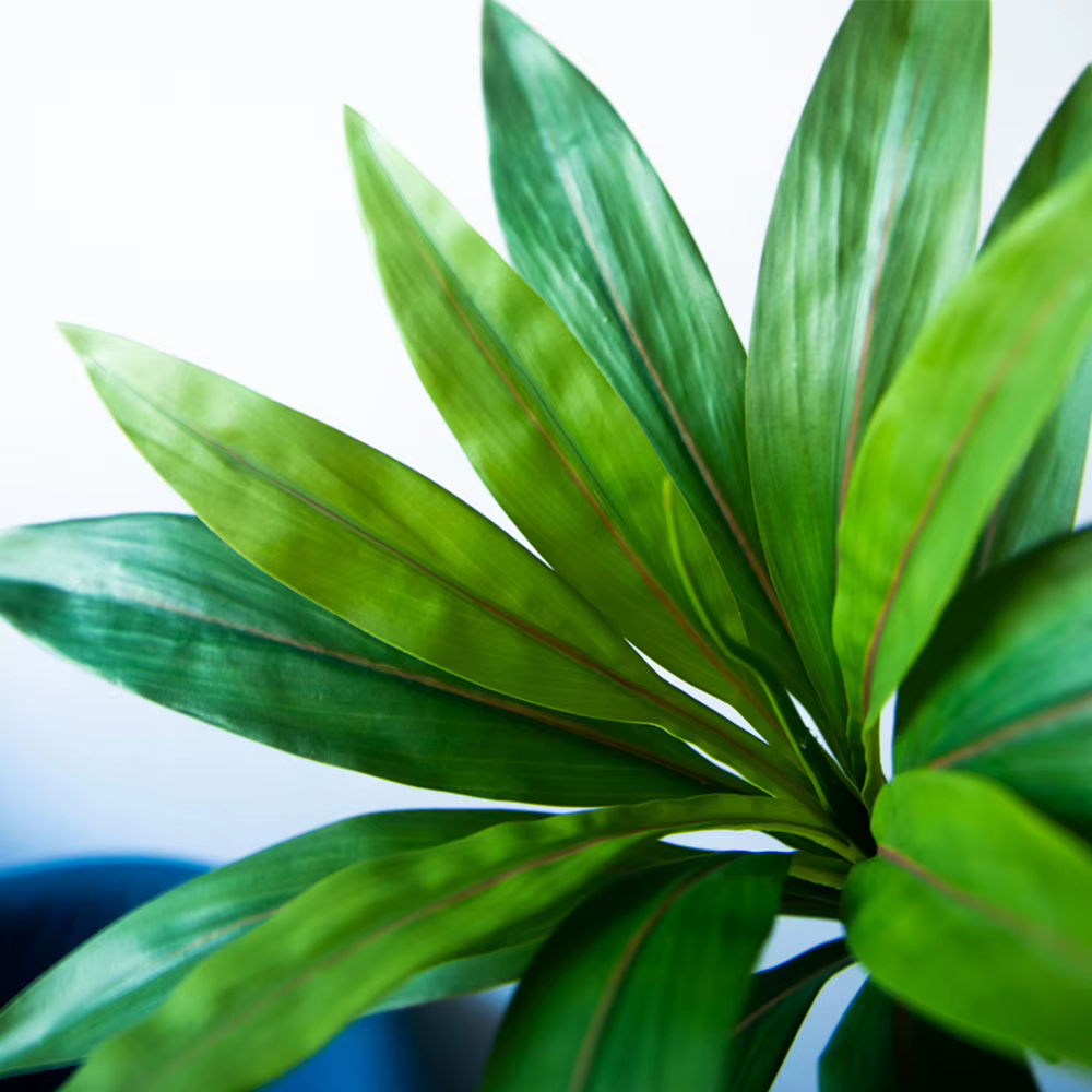 Arbre artificiel Cordyline de 45 cm à 17 feuilles
