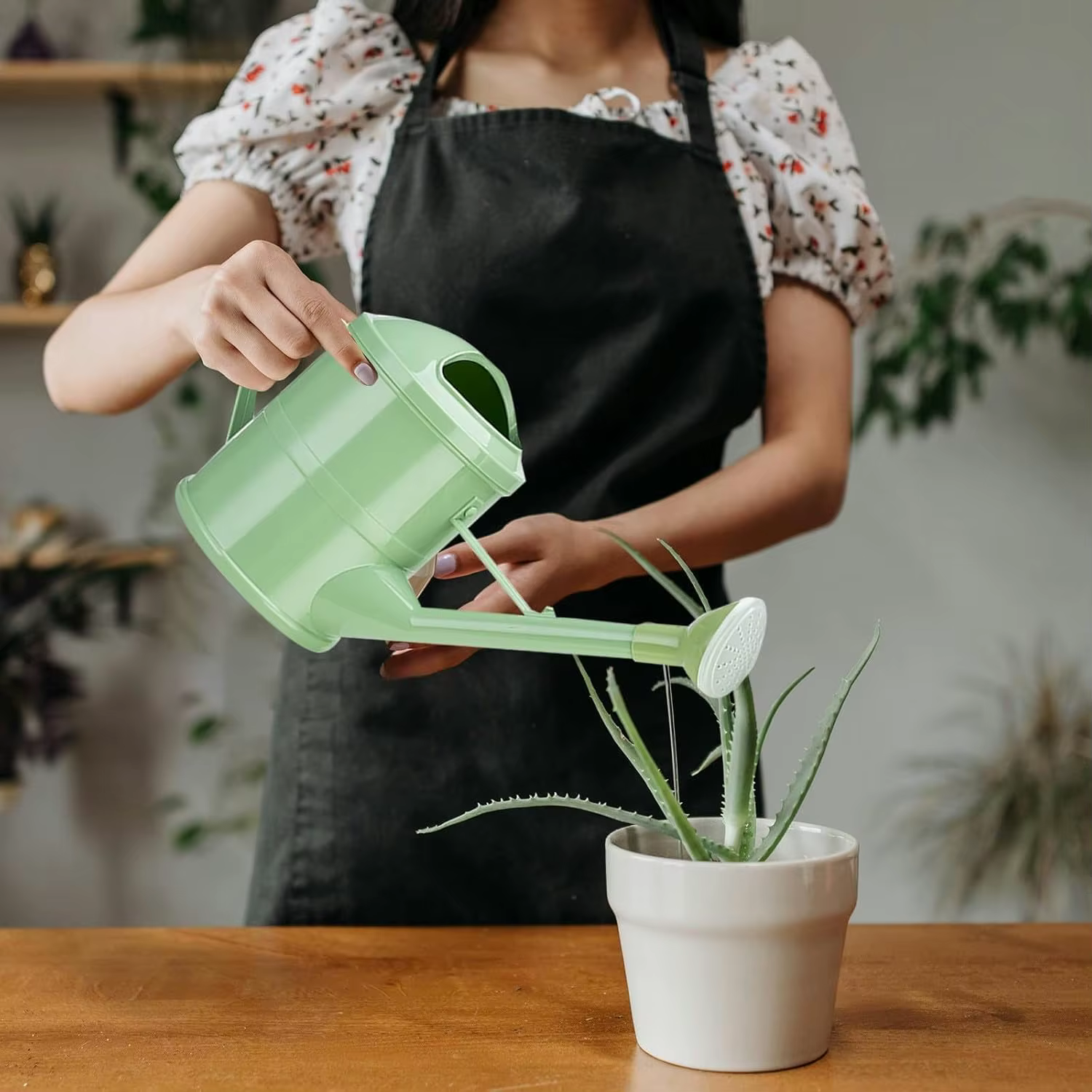 Arrosoir pour plantes de 1
