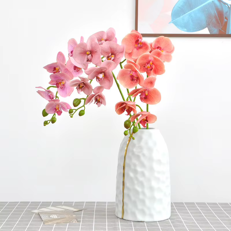 Branche d'orchidée hydratante