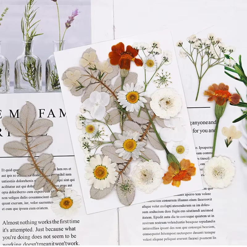 Fleurs séchées pour bricolage