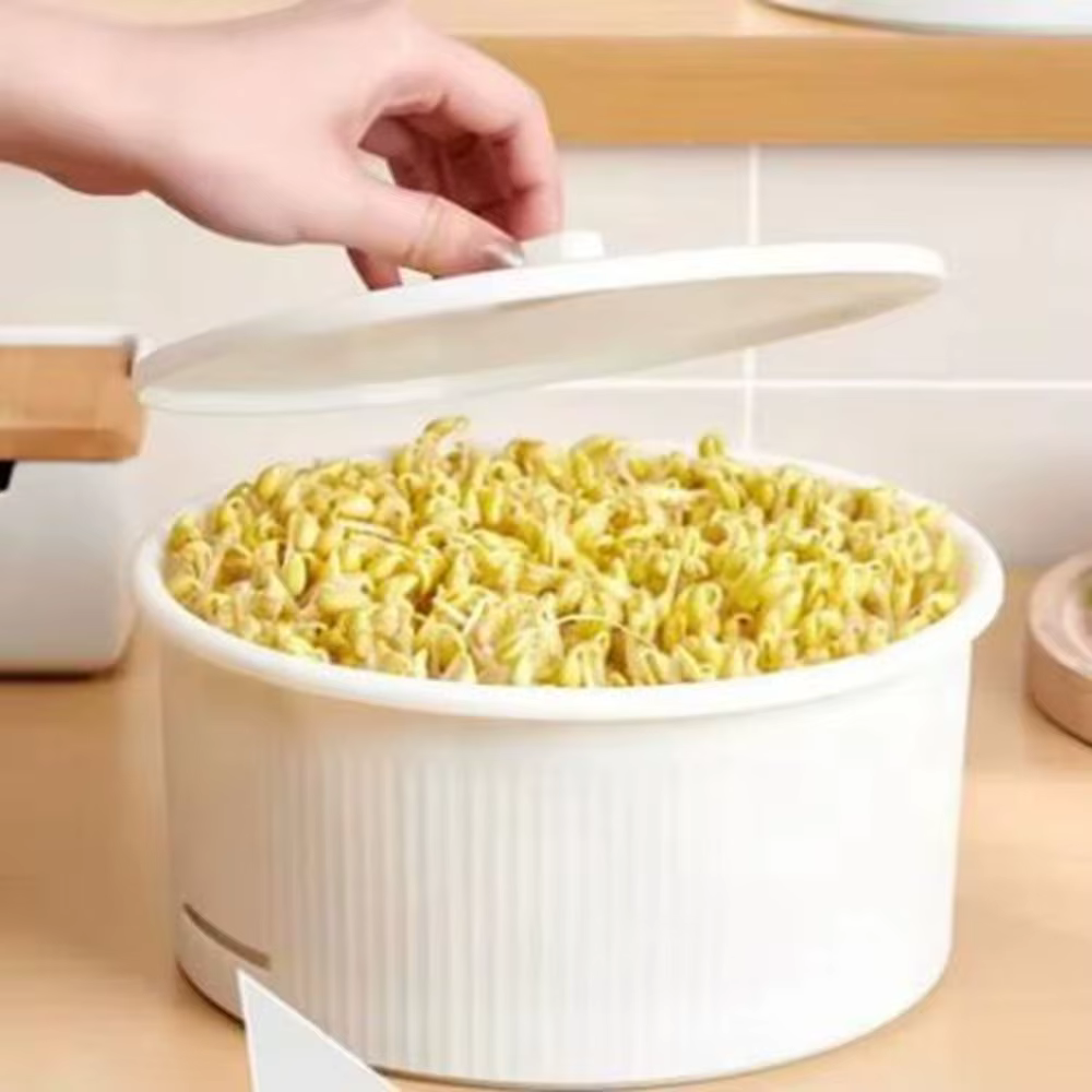 Pots de culture de pousses de légumes en plastique