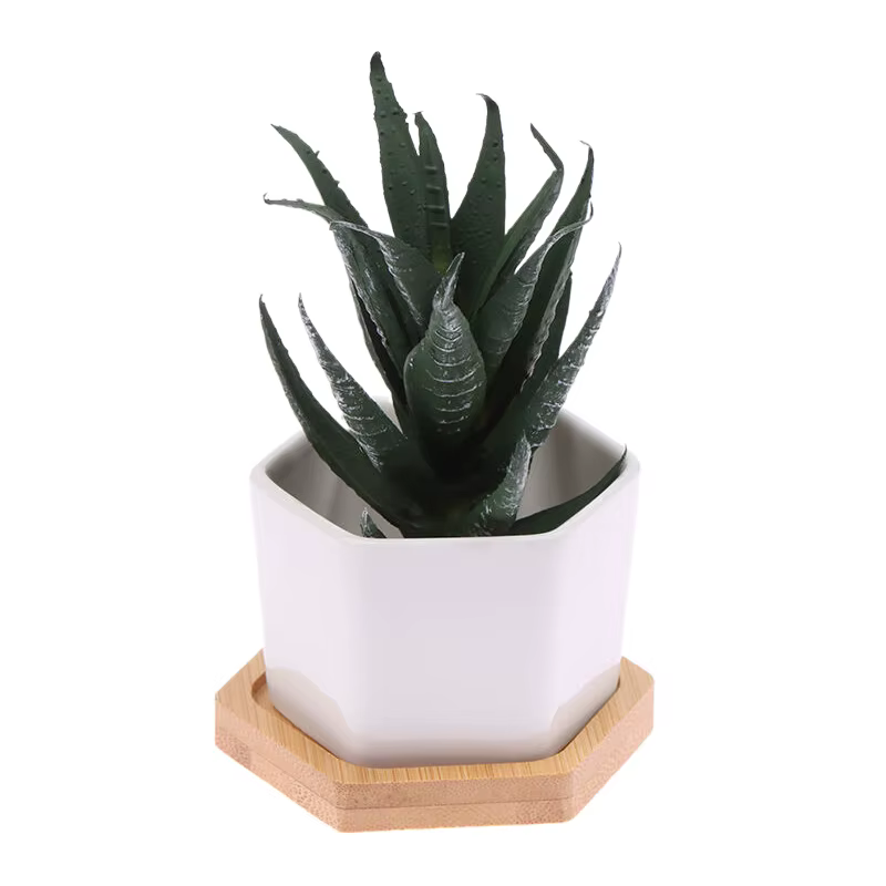 Pot de fleurs en céramique hexagonale blanche