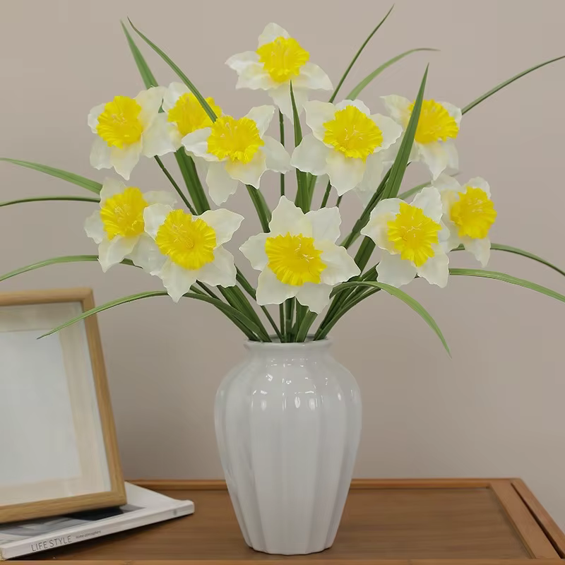 Plante de jonquille blanche