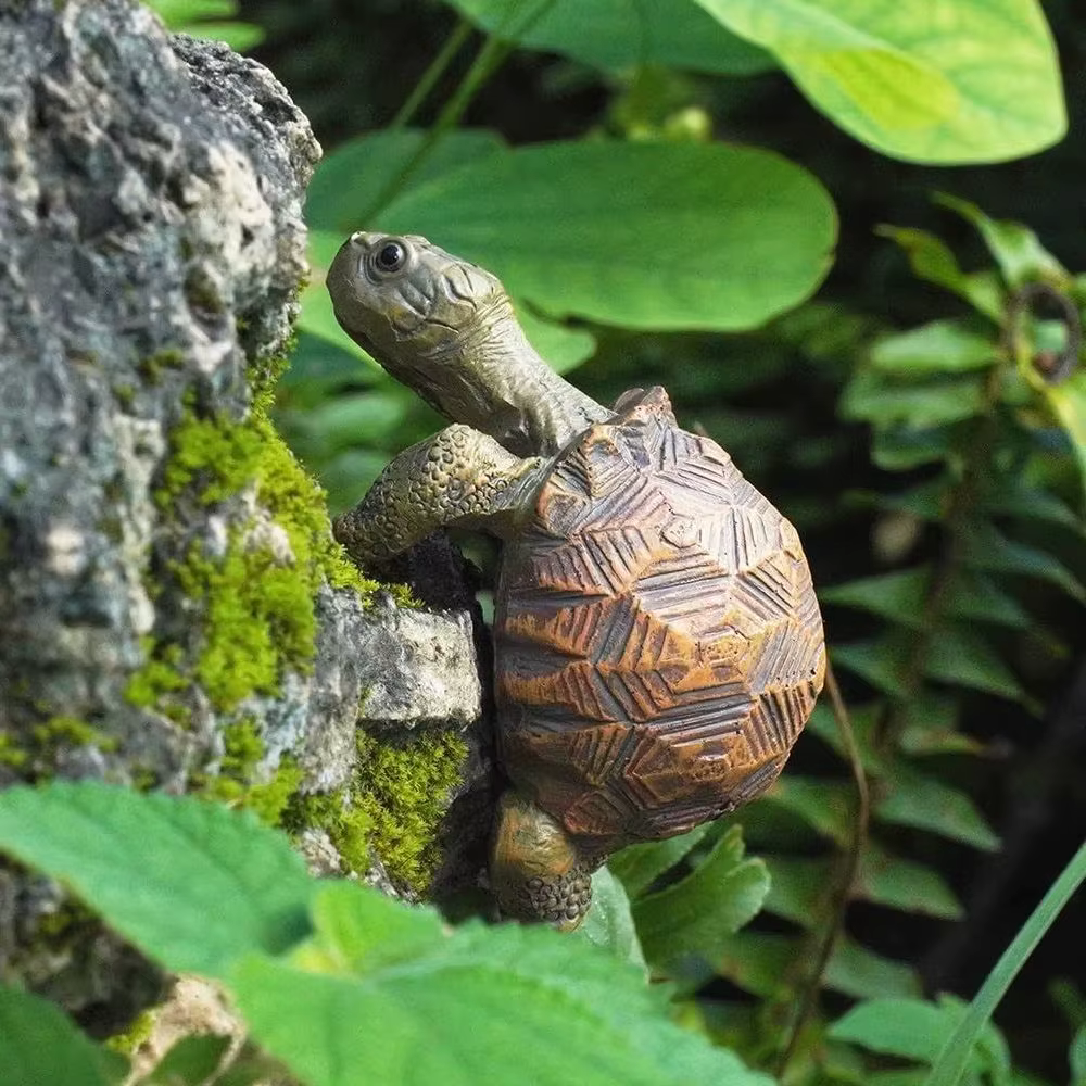Support de pot de plante en forme de tortue