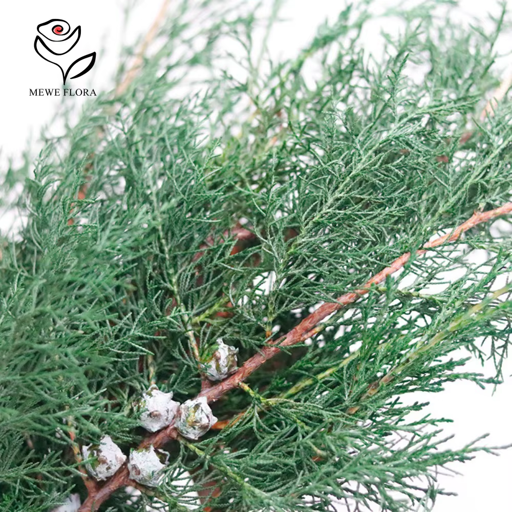 Fleurs Éternelles vaccées pour Arbre de Noël