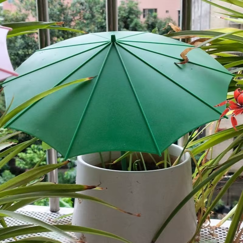 Parasol pour plantes d'extérieur